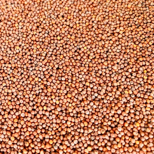Loose Organic Ragi Finger Millet