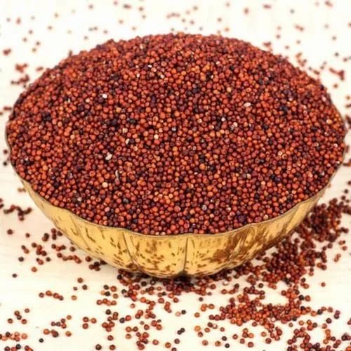 Organic Ragi Seeds, High in Protein