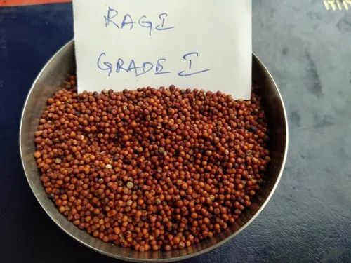 Organic Ragi Seeds, For Food, Packaging Size: 100 Gm