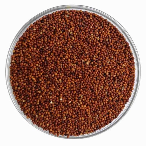 Seeds Organic Brown Ragi, For Used As Baby Food, Gluten Free