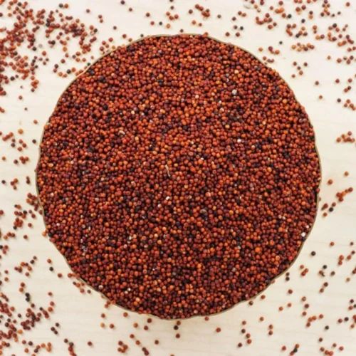 Organic Ragi Millet