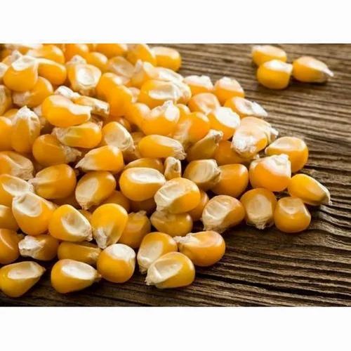 Organic Natural Maize