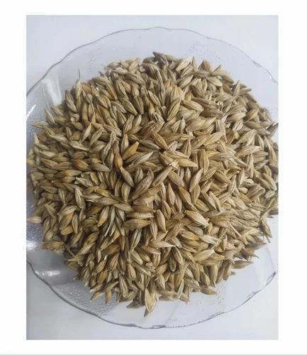 Loose Organic Barley