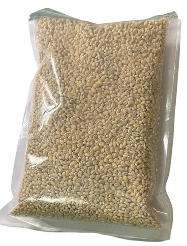 Organic Barley Grain