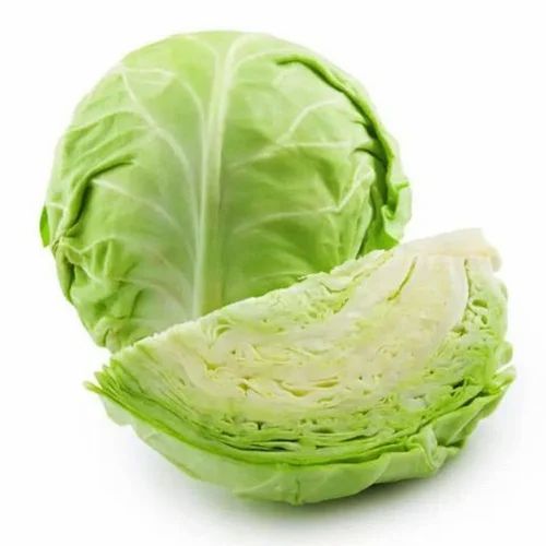 Fresh Organic Cabbage