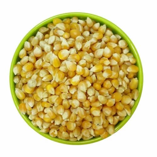 Indian Organic Sweet Corn, For Cooking, Packaging Size: Loose