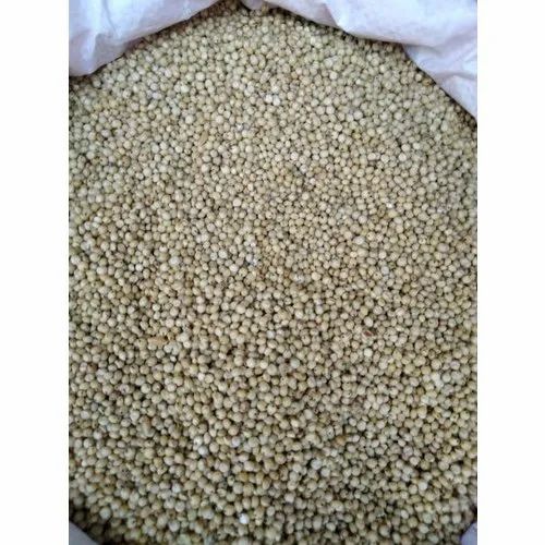 Organic Food Grains, High in Protein