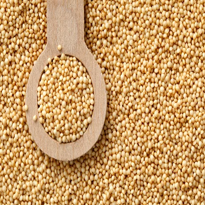 Organic Food Grains
