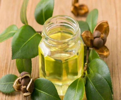 Liquid Mono Saturated Kukui Nut oil, Packaging Size: 25 ltr, For Cosmetics And Pharma Grade