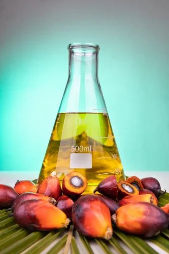 Rbd Palm Kernal Oil, 190 kg
