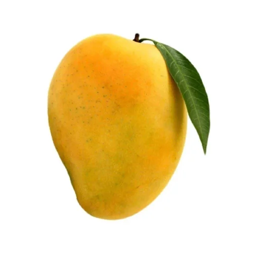 A Grade Fresh Organic Himsagar Mango