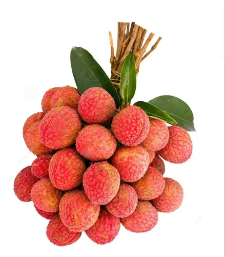 A Grade Fresh Organic Shahi Lichi, Packaging Size: 10 Kg