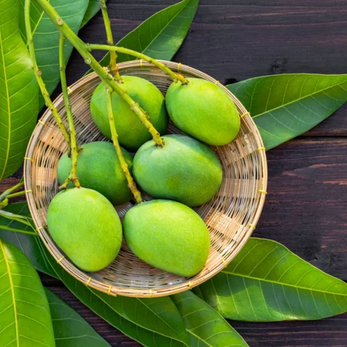 A Grade Fresh Organic Raw Mango