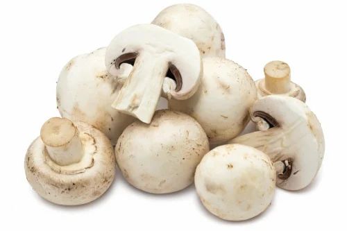 Fresh Organic Mushroom, 14 %, Packaging Type: Loose