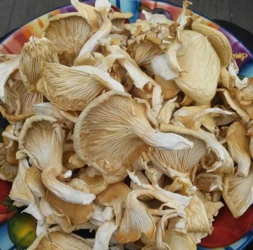Pan India Organic Dried Button Mushroom, 2.7gm, Packaging Type: Loose