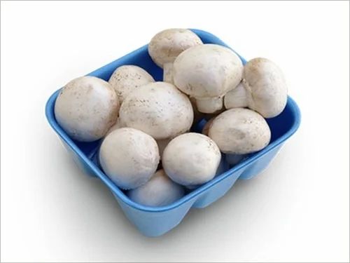 Organic Mushrooms