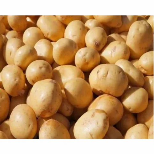 Brown Kufri Jyoti Organic Potato