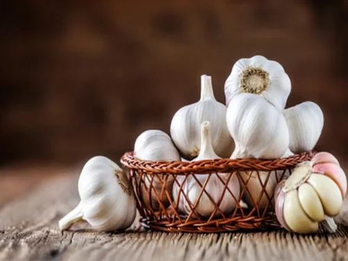 Fresh Organic Garlic