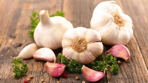White Organic Garlic