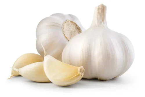 Regular White Organic Garlic Bulbs