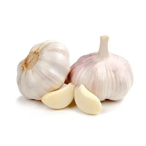 Regular White A Grade Fresh Garlic