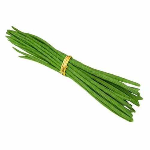 Fresh Organic Drumstick from Maharashtra