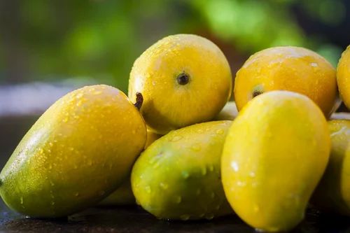 Fresh Dashehari Mango