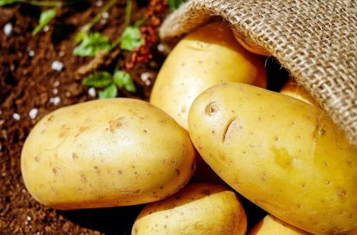 Fresh Organic Potato