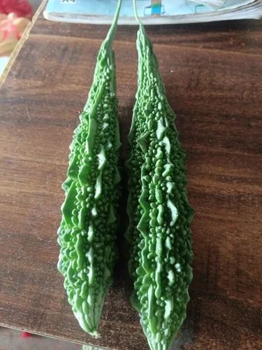 Fresh Organic Bitter Gourd