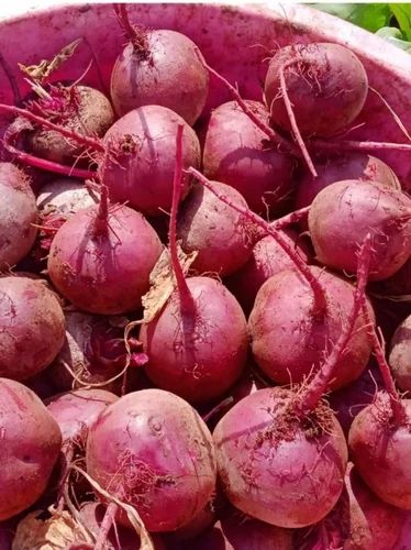 Fresh Organic A Grade Beetroot