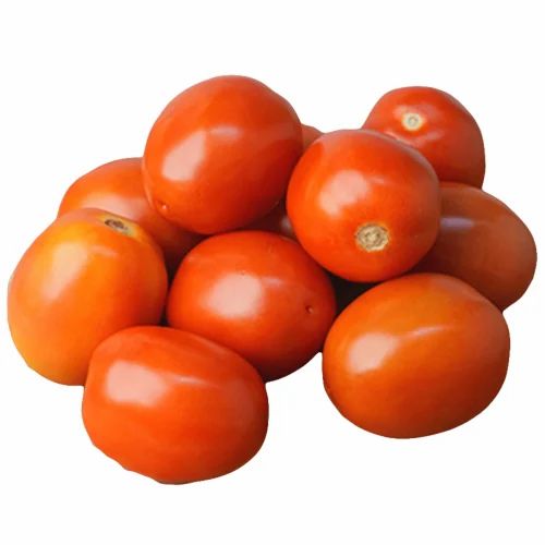 Organic Red Hybrid Tomato