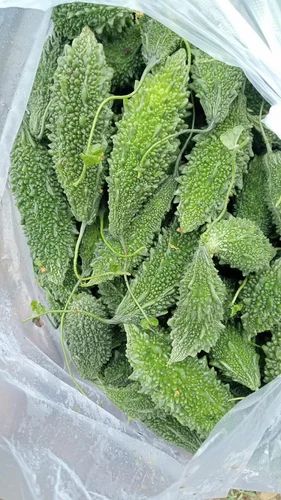 Organic Bitter Gourd Vegetable, Loose, Variety / Grade: A Grade