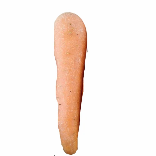 Organic Fresh Orange Carrot Vegetable, Variety / Grade: A Grade, Loose