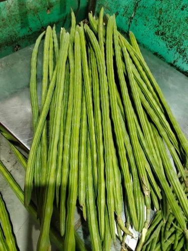 Organic Fresh Drumstick Vegetable, Loose, Variety / Grade: A Grade