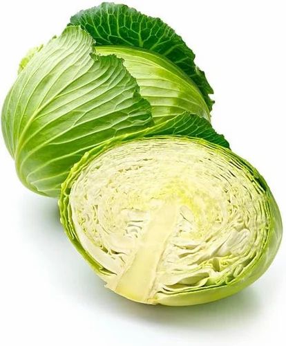 Organic Cabbage
