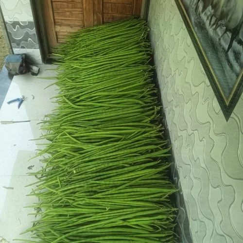 Organic Drumstick