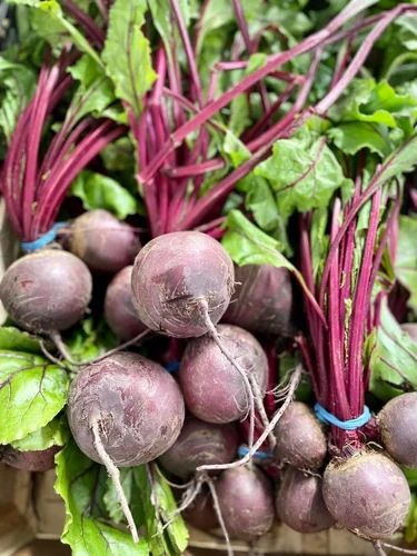 Organic Beetroot