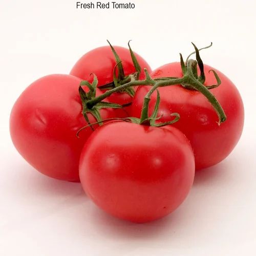 A Grade Indian Fresh Red Tomato, Carton, 3 Kg