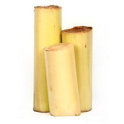 Banana Stem