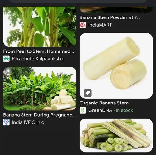 Banana Stem