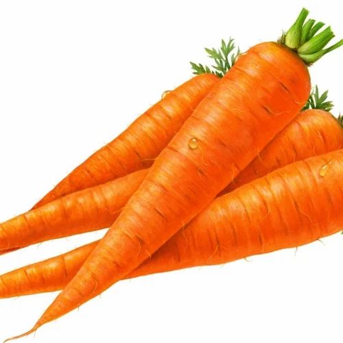 A Grade Organic Carrot
