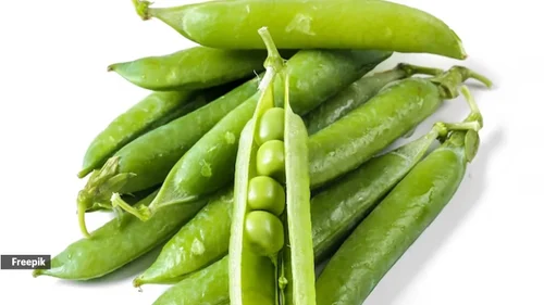 Organic A Grade Fresh Green Peas