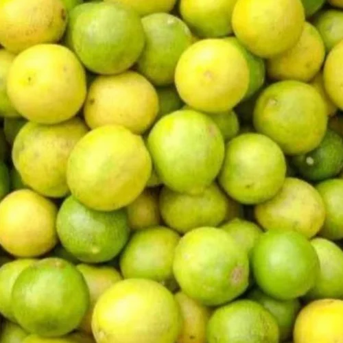 Yellow A Grade Lemon