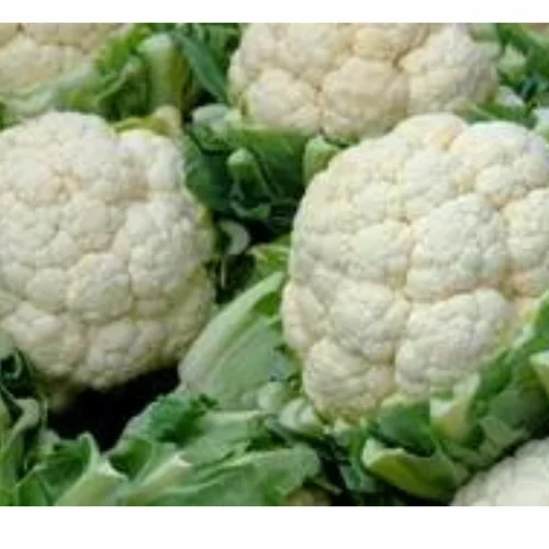 White A Grade Cauliflower