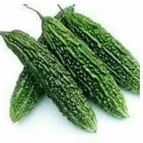 Organic Bitter Gourd