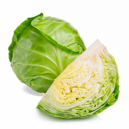 A Grade Green Organic Cabbage
