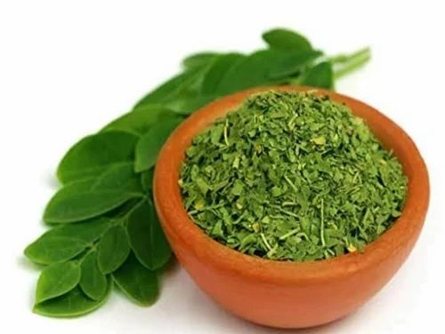 Drumstick Moringa