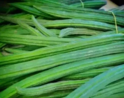 Pan India Organic Drumstick, Packaging Type: Poly Bag, Packaging Size: 7 Kg Box