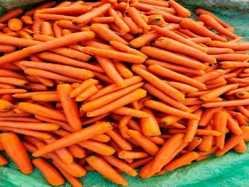 Fresh Organic Carrot