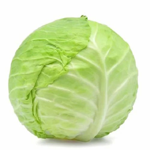A Grade Organic Green Fresh Cabbage, Pesticide Free (for Raw Products)